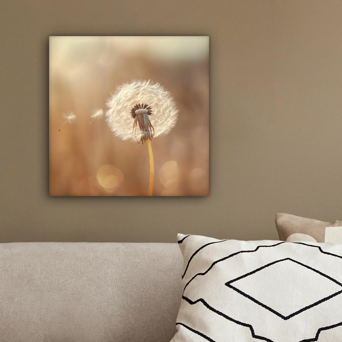 LEINWANDBILD Löwenzahn - Beige - Natur - Blume 20x20 cm - Hellbraun, Textil (20/20cm) - MuchoWow