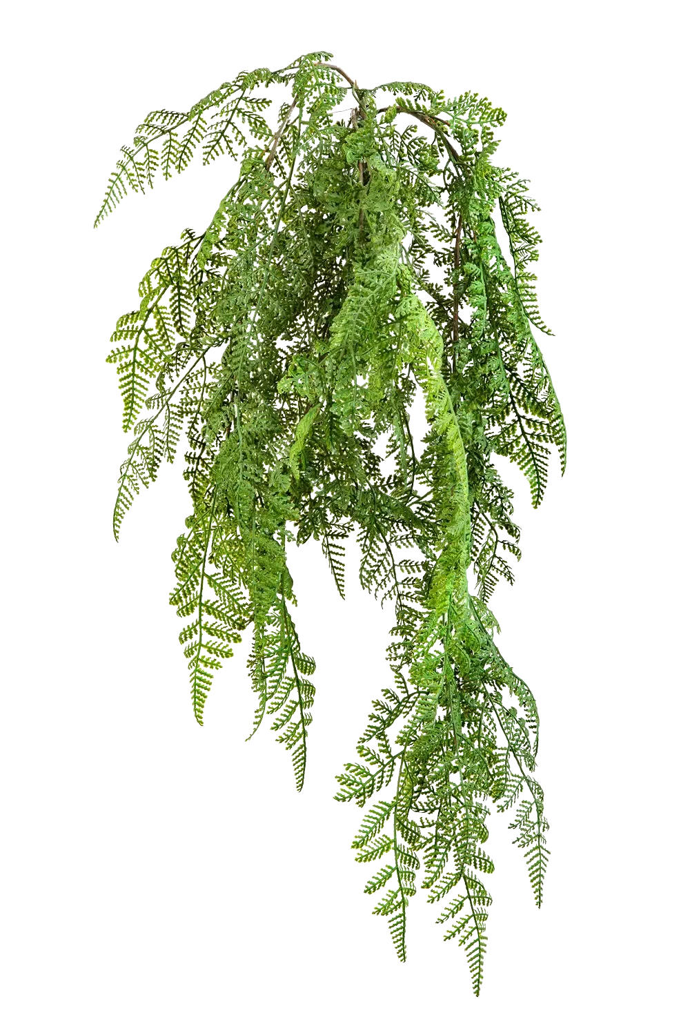 KUNSTPFLANZE Künstlicher Hänge-Wurmfarn - Bennett 60 cm - Grün, Kunststoff (60cm) - aplanta
