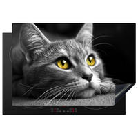 HERDABDECKPLATTE Katze - Grau - Tiere - Katze 78x52 cm - Grau, Kunststoff (78/0.2/52cm) - MuchoWow
