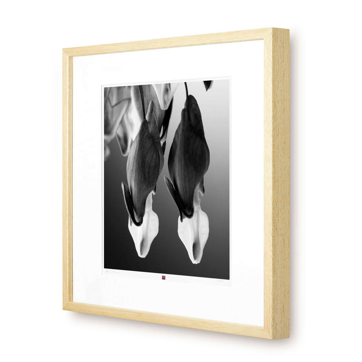 KUNSTDRUCK Schwarz-Weiß 50/50 cm - Schwarz, Glas/Papier (2.4/50cm) - KUNSTLOFT