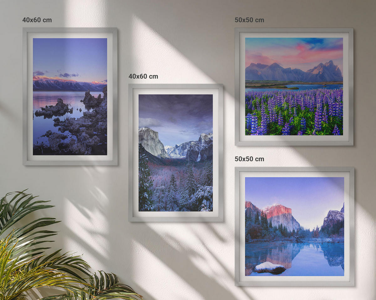 BILDER SET 4er Set - 50x50 cm & 40x60 cm Silberner Rahmen - Berglandschaften, Wasser, Blumenfeld - Silberfarben, Kunststoff (50/50cm) - TULUP