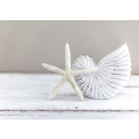 BILD 30x20 cm maritime Deko Weiß Beige - Beige, Holzwerkstoff (30/20/2cm) - artissimo