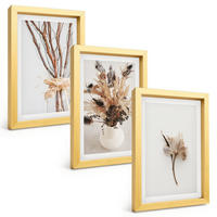 BILDER SET 3er Set - 20x30 cm Goldrahmen - Blumenzweige minimalistisch - Goldfarben, Kunststoff (20/30cm) - TULUP