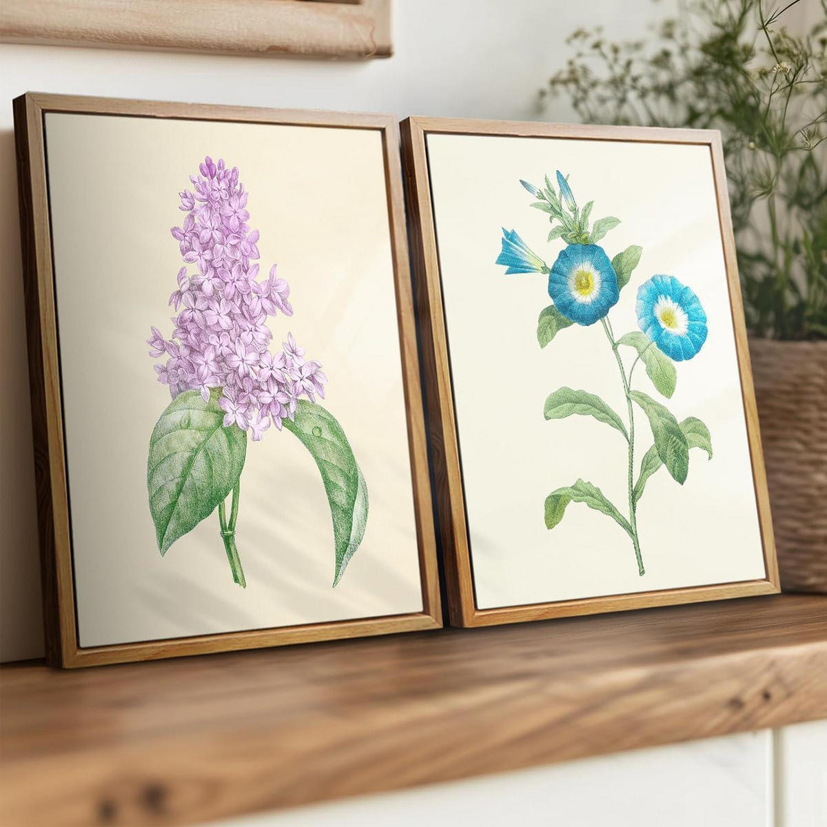 LEINWANDBILD mit Rahmen Vintage Insekten 30 x 40 cm - Blau, Holz (30/0.5cm)