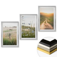 WANDBILDER 3er Set - 40x60 cm Silberner Rahmen - Landschaften Natur Felder Weg - Silberfarben, Kunststoff (40/60cm) - ArtPrintCave