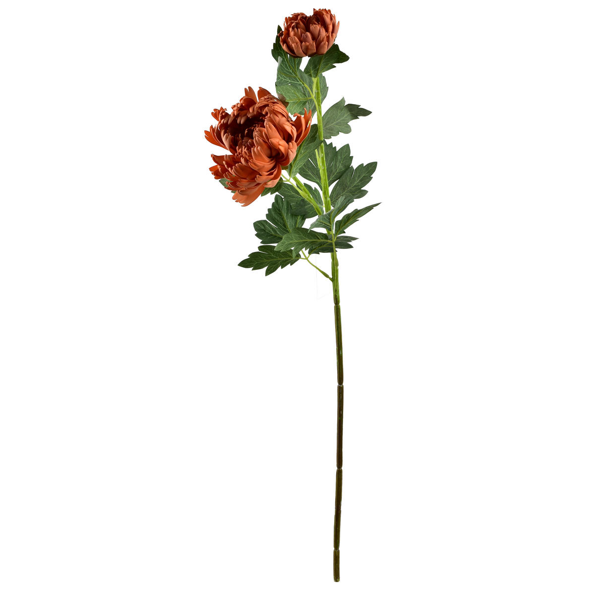 UMĚLÁ CHRYZANTÉMOVÁ VĚTVIČKA Viridis, 69 cm - zelená barva, plast (69cm) - Mondex