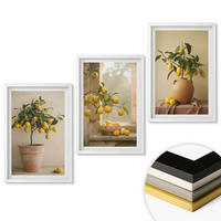 WANDBILDER 3er-Set - 40x60 cm Weißer Rahmen - Zitronenbäume im Topf - Weiß, Kunststoff (40/60cm) - ArtPrintCave