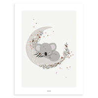 POSTER Süßer Koala, 30x40 cm - Grau, Papier (30/1/40cm) - Lilipinso