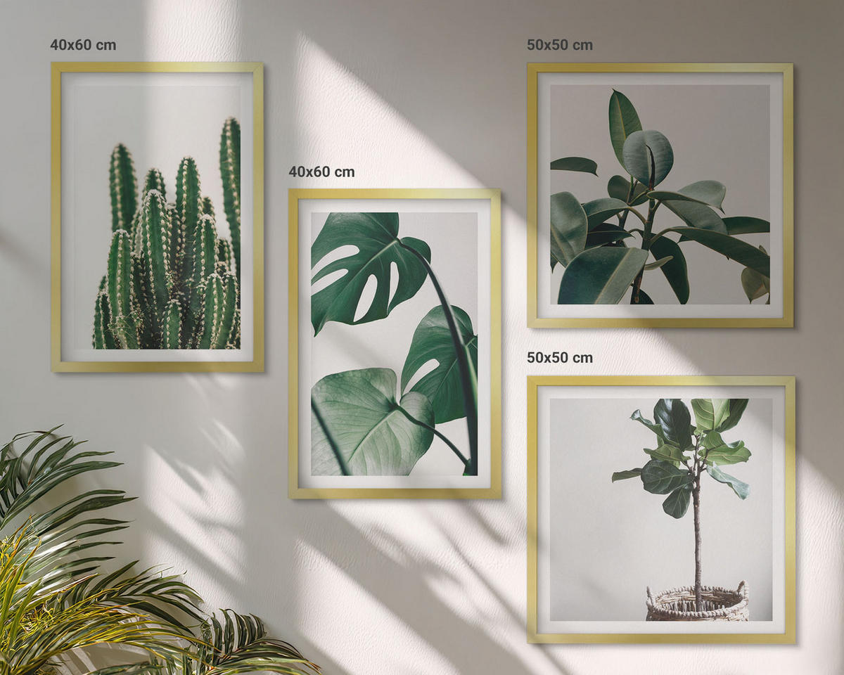 WANDBILDER 4er Set - 50x50 cm & 40x60 cm Goldrahmen - Ästhetik tropischer Pflanzen - Goldfarben, Kunststoff (50/50cm) - ArtPrintCave