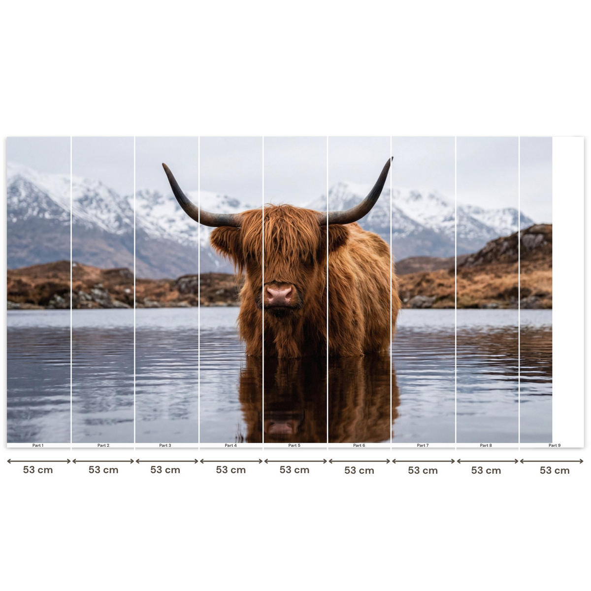 TAPETE - Schottischer Hochländer - Braun - Wasser - 450x240 cm - Braun, Papier (450/240cm) - OnlyWow