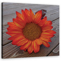 WANDBILD orangefarbene sonnenblume - Orange, Textil (50/50cm) - Feeby