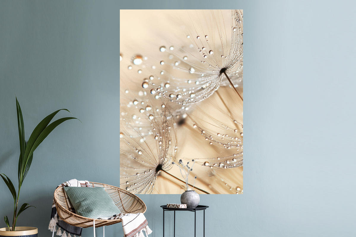 WANDTATTOO Löwenzahn - Abstrakt - Natur - Beige 80x120 cm - Braun, Kunststoff (80/120/0.1cm) - MuchoWow