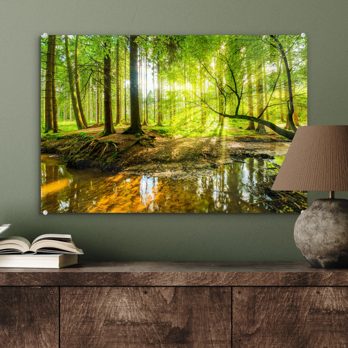 ACRYLGLASBILD Wald - Landschaft - Wasser - Bäume - Sonne - Grün - Natur 60x40 cm - Grün, Glas (60/40cm) - MuchoWow