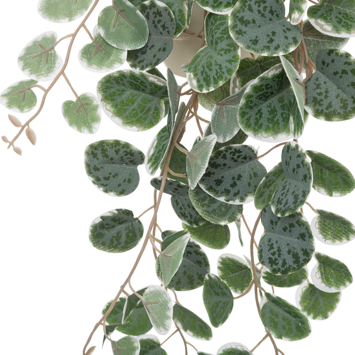 HÄNGEPFLANZE Sieste mit Kunststofftopf - Grün, Kunststoff (40cm) - Atmosphera Createur d´interieur