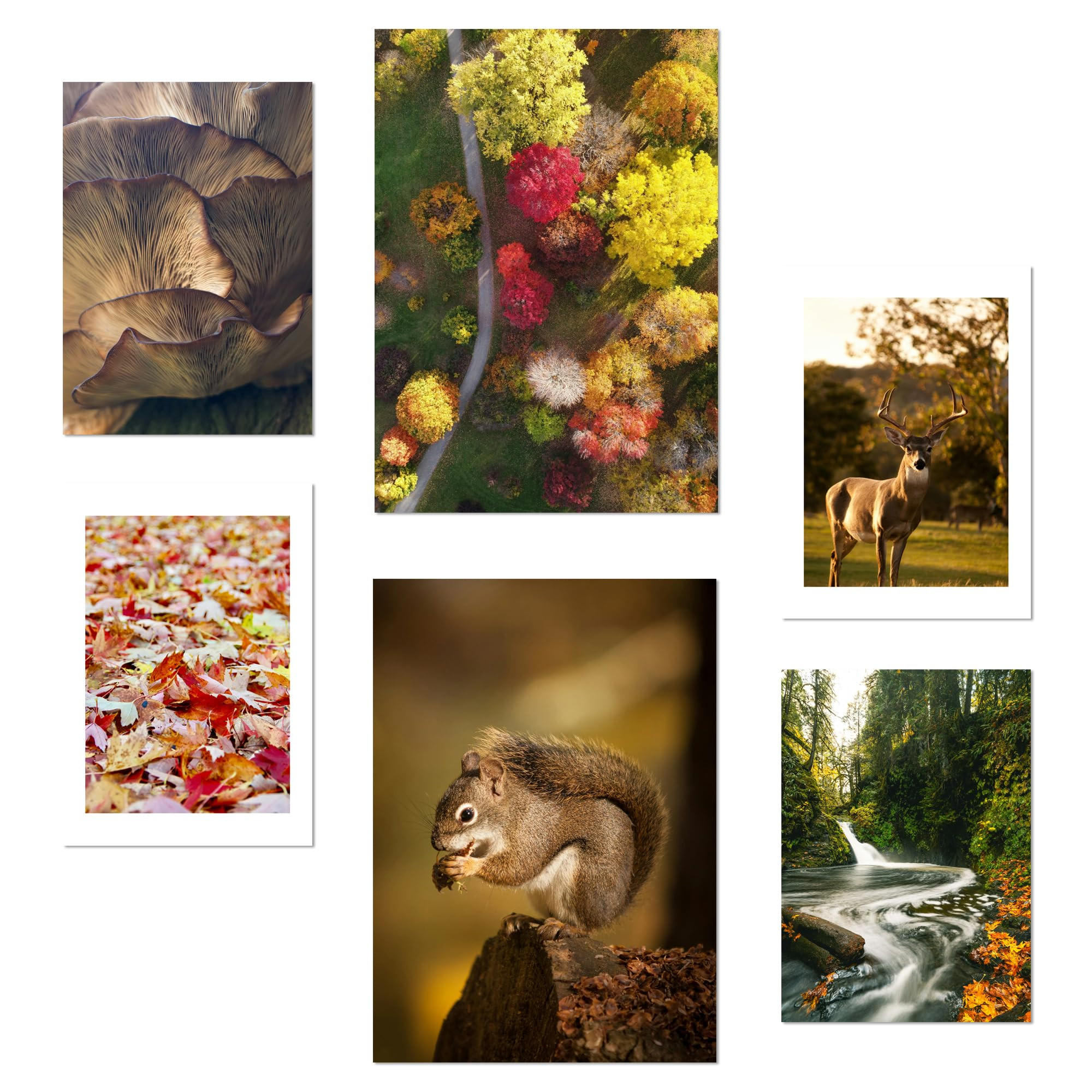 Nacnic Poster Klar 29x3 cm