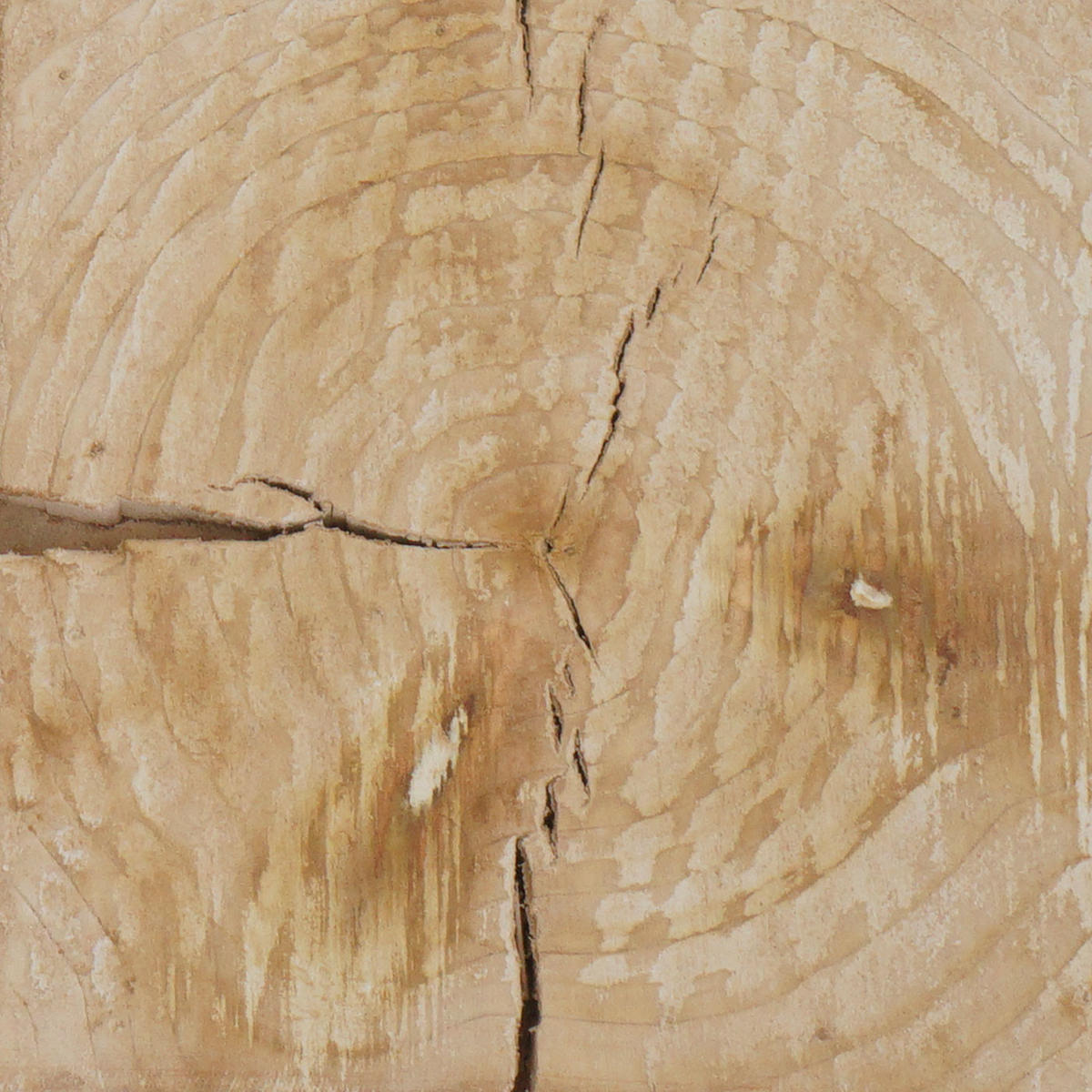 HOCKER Braun - Braun, Holz (32/46/32cm) - MCW