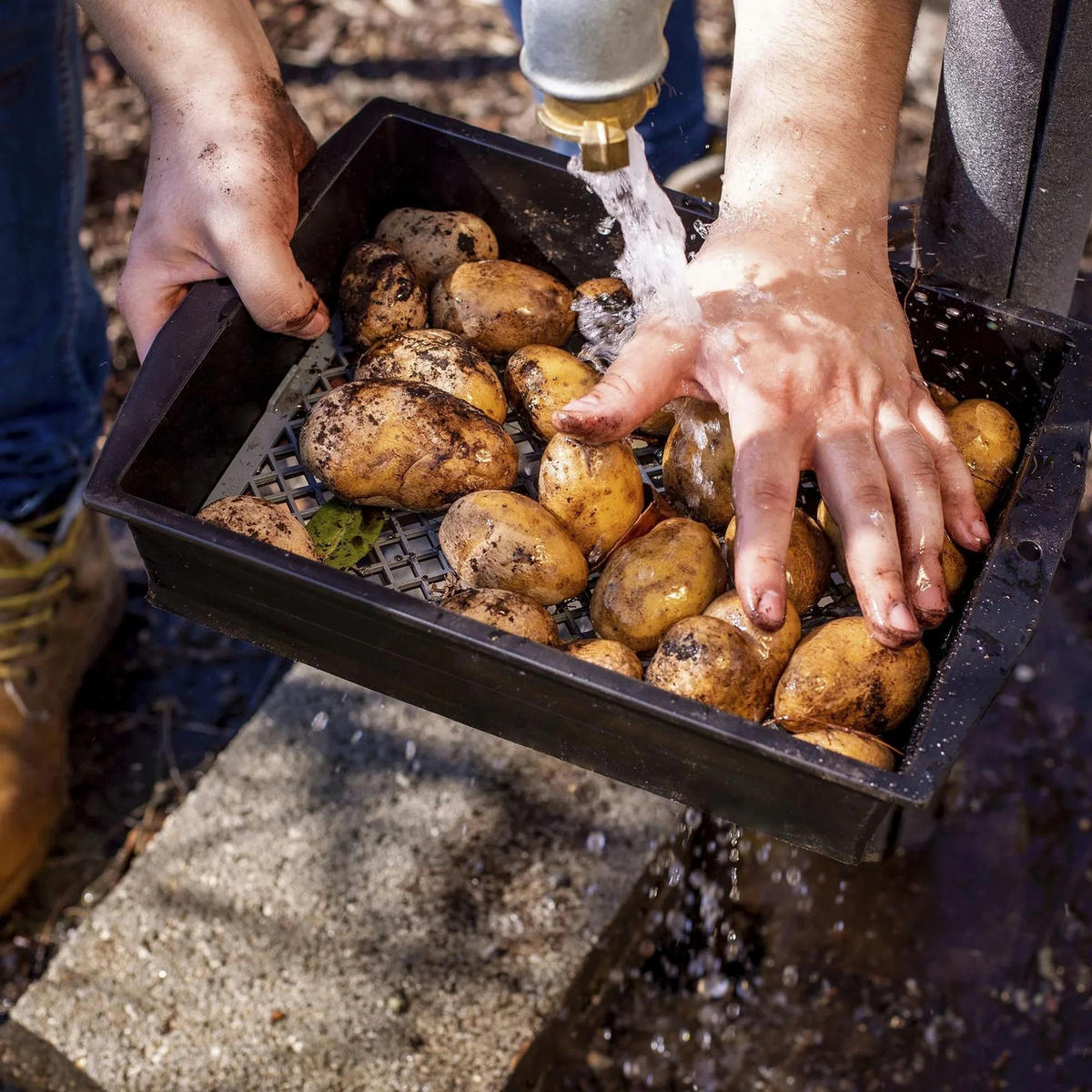 GARTENSIEB XL, 2-in-1, anpassbar, Kunststoff - Schwarz, Kunststoff (29/11/40cm) - Westfalia