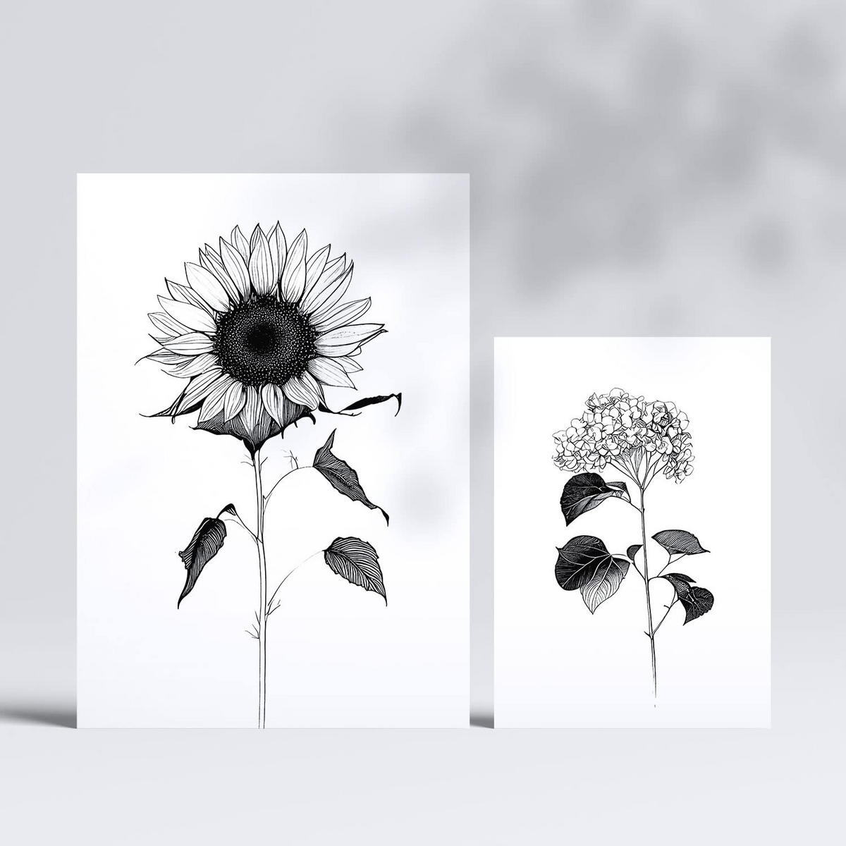 POSTER Set Mit 6 Helle Blumen Blumenmotiven In Klassischem Schwarz Und Weiß A3 & A4 Rahmenlos - Klar, Papier (29/3cm) - Nacnic