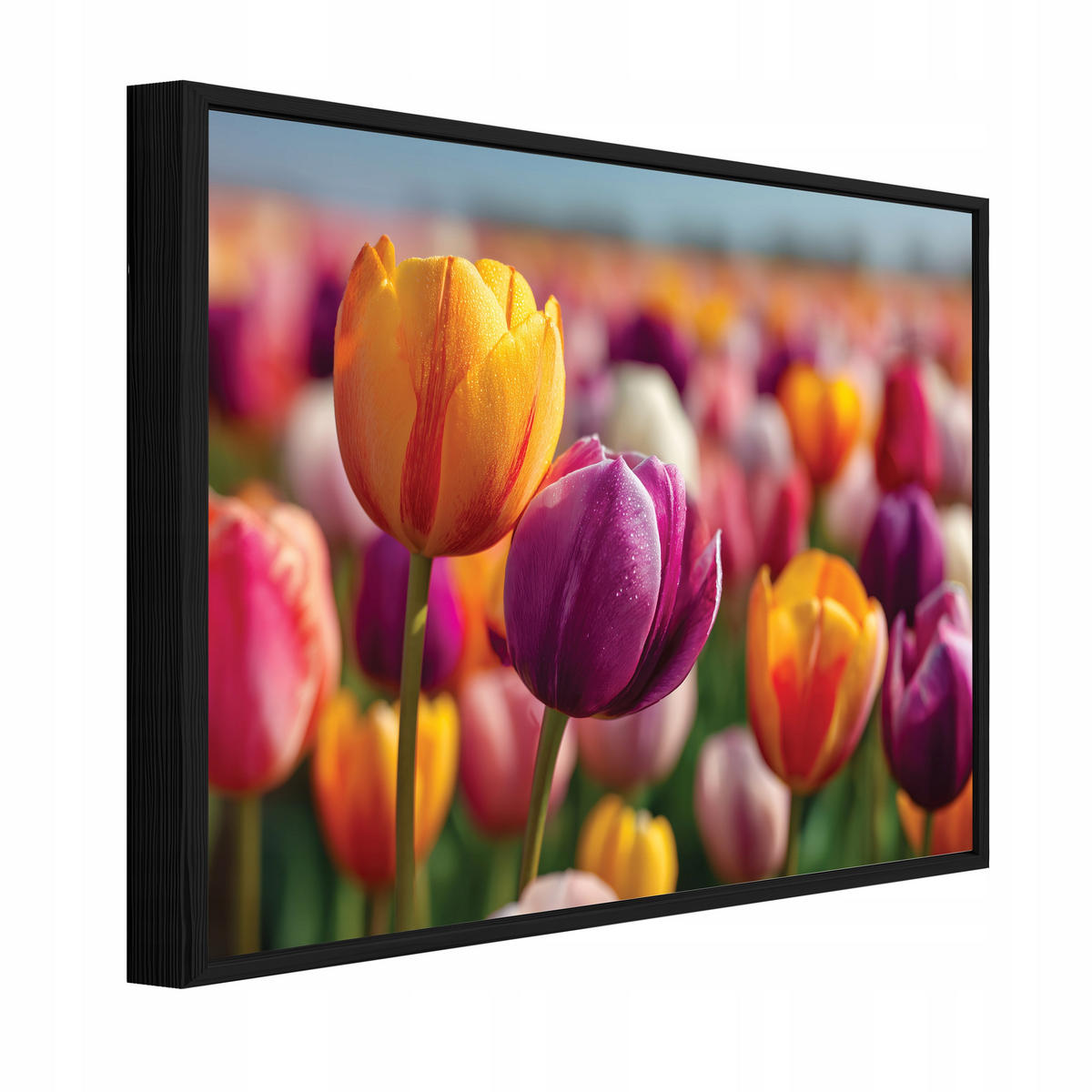 BILDER mit Rahmen Blumen Tulpen Bunt 100x70 cm - Multicolor, Holzwerkstoff (100/70cm) - Wallarena