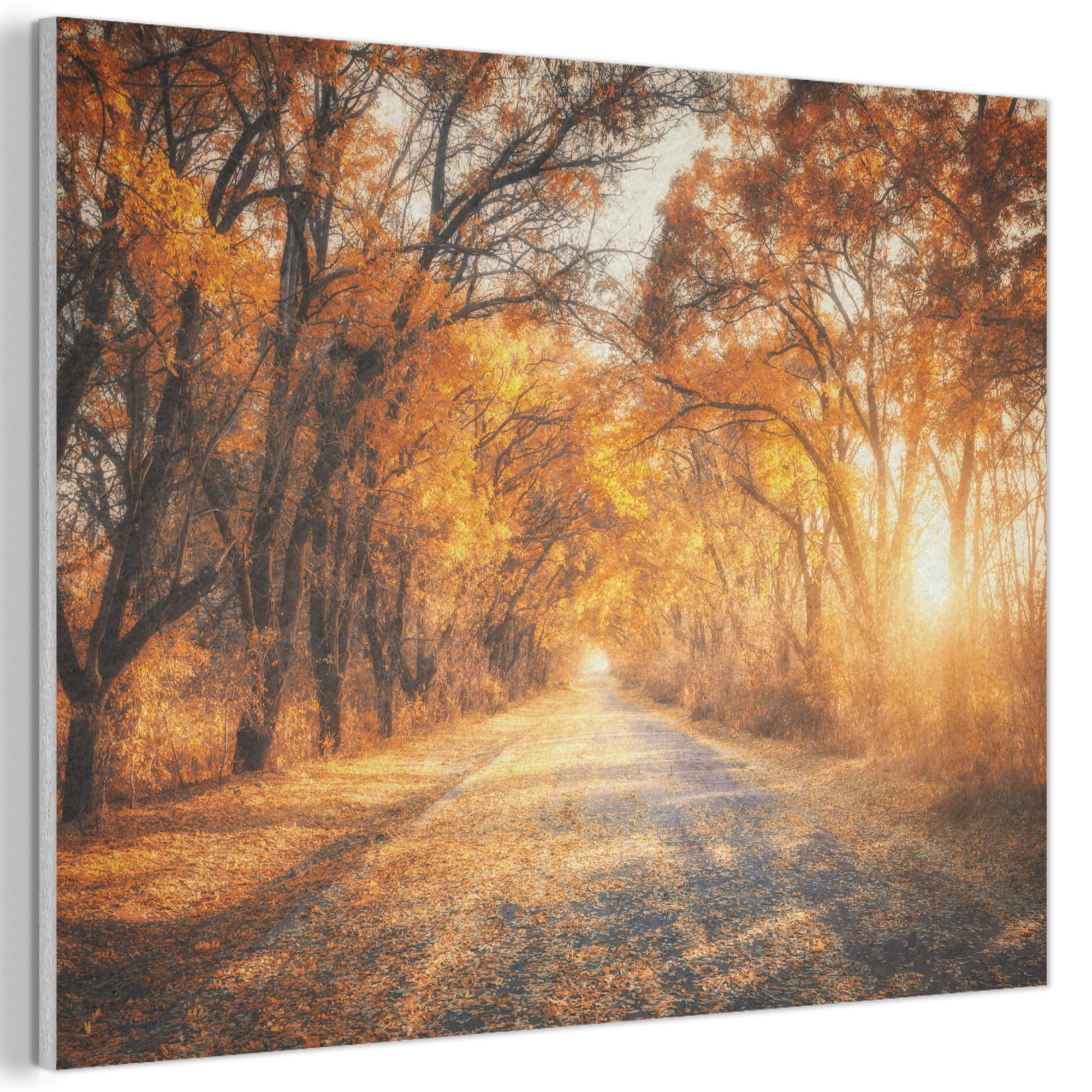 MuchoWow AKUSTICKÝ obraz Les - Podzim - Stromy - Lesní cesta - Příroda 100x70 cm