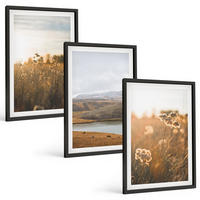 BILDER SET 3er Set - 40x60 cm Schwarzer Rahmen - Landschaften Wiesen Berge See - Schwarz, Kunststoff (40/60cm) - TULUP