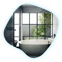 LED SPIEGEL 48,3x47,9 cm Kaltweiß 6500K - Transparent, Glas (48.3/47.9/0.4cm) - Wallfluent