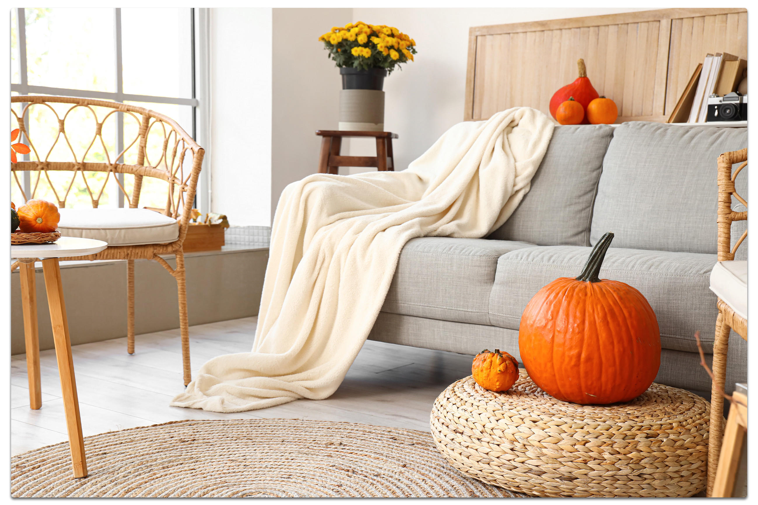 Eine Couch mit einem Kürbis darauf und einem Stuhl daneben, gemütliche herbstliche Atmosphäre