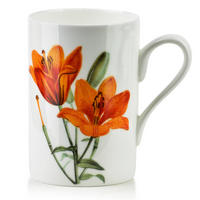 BECHER Armano Orange 8/11/11.5 cm Porzellan - Orange, Keramik (0.41L) - Mondex