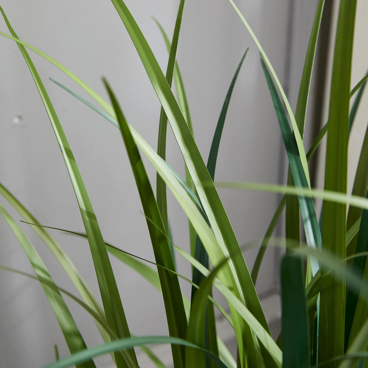 KUNSTPFLANZE Künstliches Gras – Alaric 120 cm - Grün, Kunststoff (120cm) - aplanta
