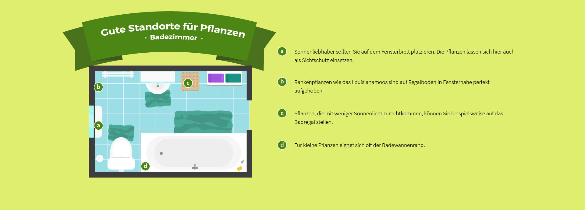 Raumübersicht Badezimmer, Die passende Pflanze für jedes Zimmer XXXLutz