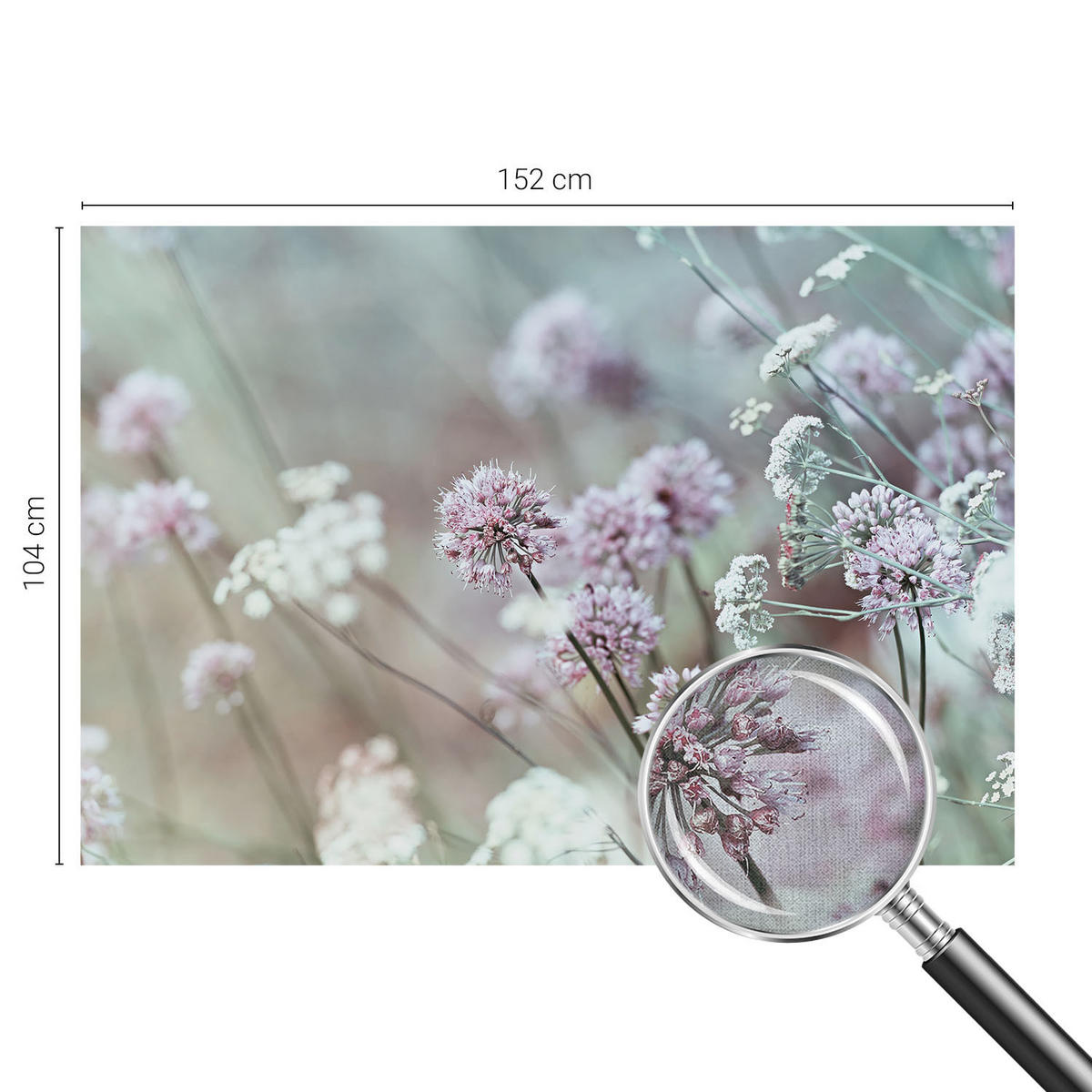 FOTOTAPETE 152x104 cm - Wildblumen - Weiß, Textil (152/104cm) - Wallfluent