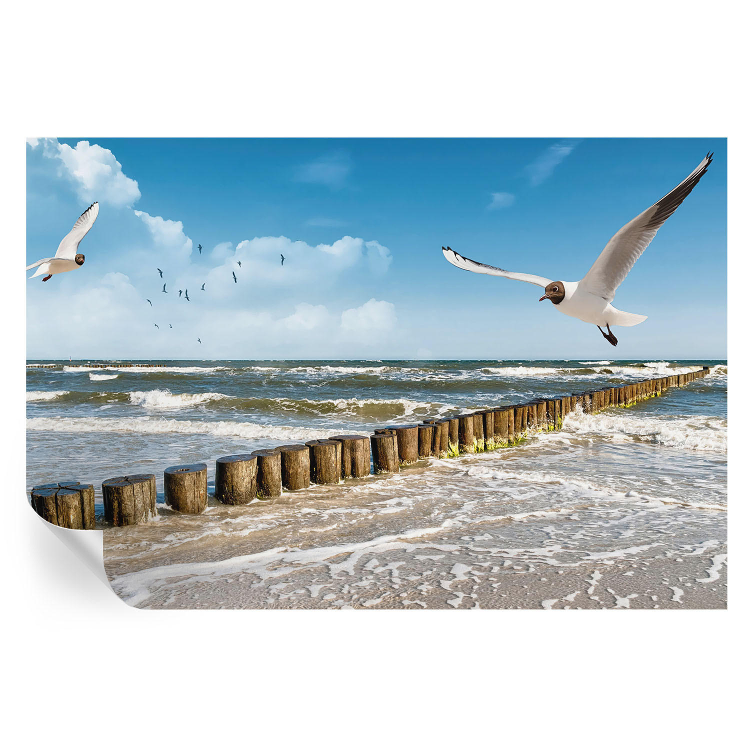 FOTOTAPETE 104x70 cm - Küstenlandschaft - Blau, Textil (104/70cm) - Wallfluent