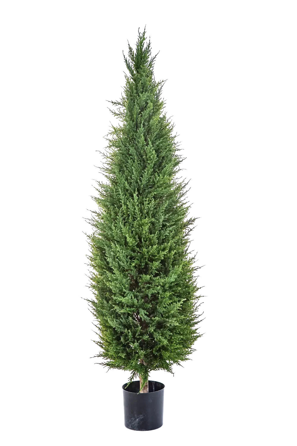 KUNSTBAUM Künstliche Zypresse - Philip 150 cm - Grün, Kunststoff (150cm) - aplanta