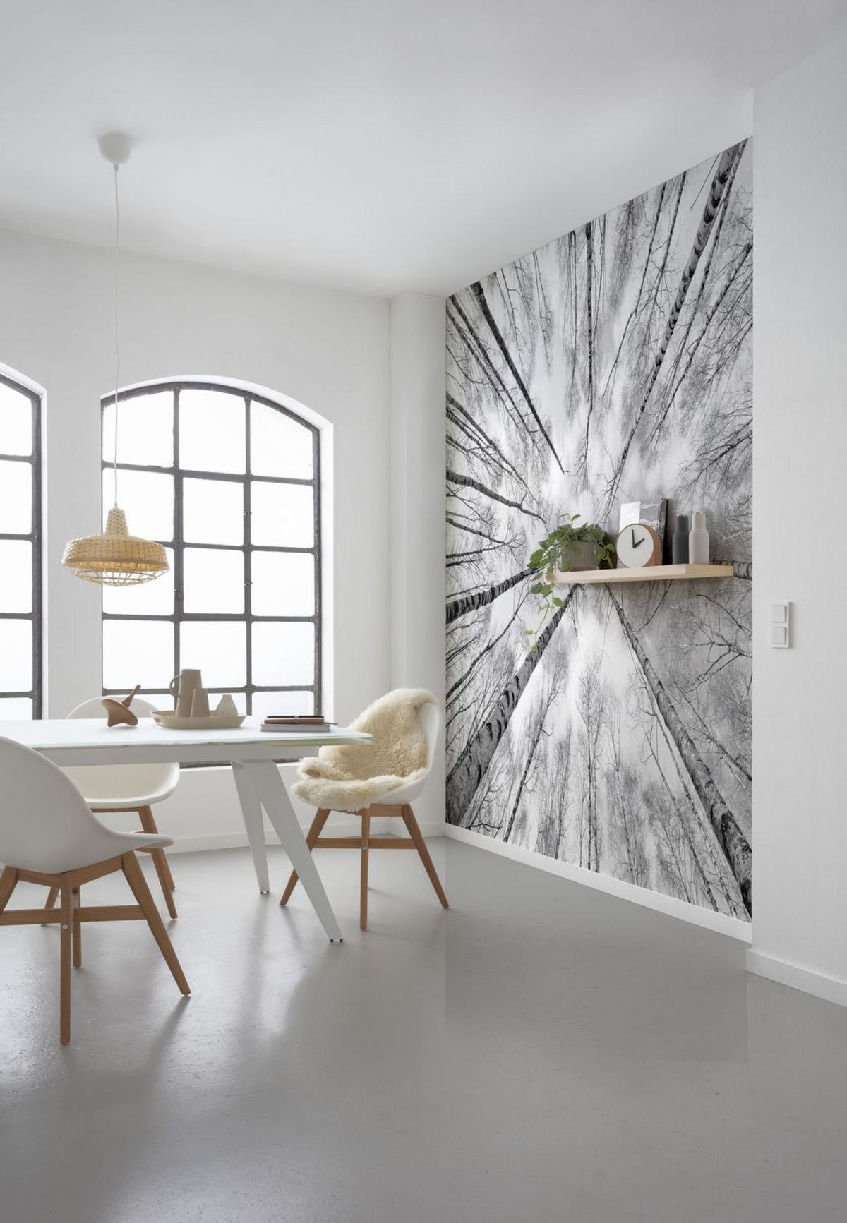 FOTOTAPETE Wald 450 x 280 cm - Schwarz, Papier (450/280cm) - Sanders & Sanders