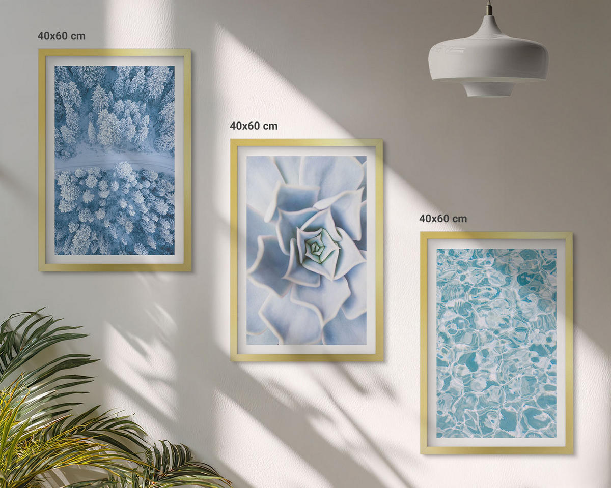 WANDBILDER 3er Set - 40x60 cm Goldrahmen - Winterwald blaue Blume Wasser - Goldfarben, Kunststoff (40/60cm) - ArtPrintCave