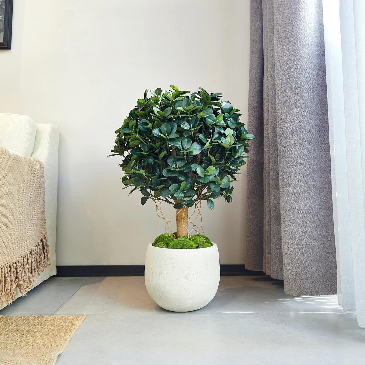 KUNSTBAUM Künstlicher Ficus Panda – Tiberia 70 cm - Grün, Kunststoff (70cm) - aplanta