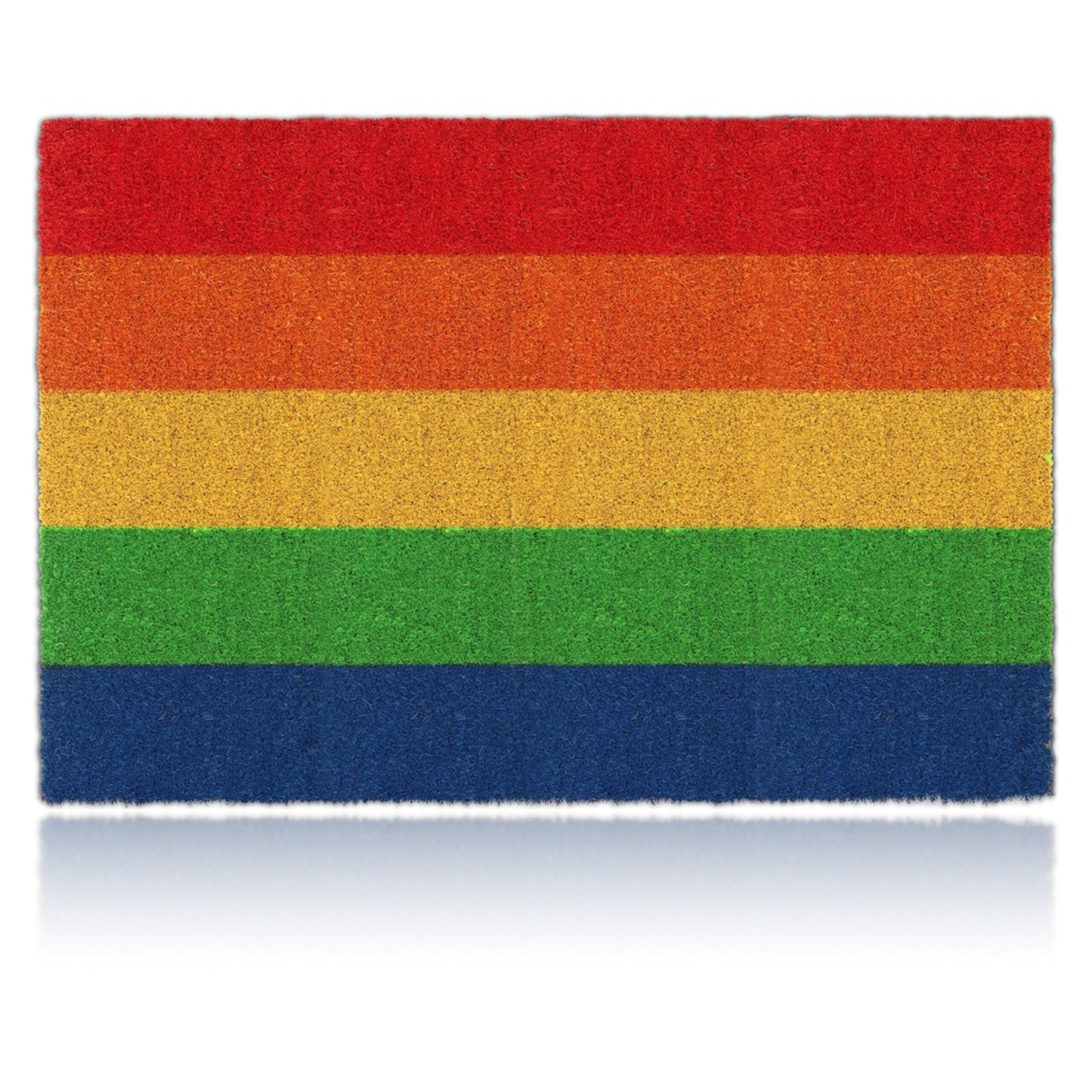 PREȘ Multicolor cocos antiderapant PVC 60x40 cm