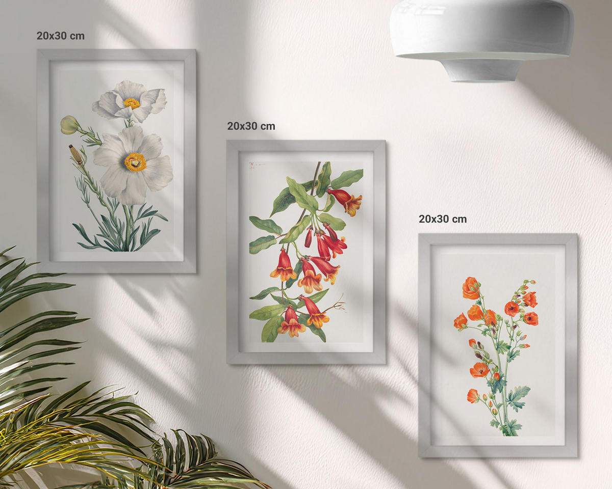 BILDER SET 3er Set - 20x30 cm Silberner Rahmen - Retro-Blumenarrangements - Silberfarben, Kunststoff (20/30cm) - TULUP