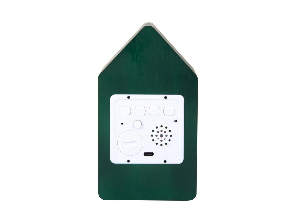 WECKER Cuckoo Grün 9/9/15.8 cm - Grün, Holz (9/15.8/9cm) - Karlsson