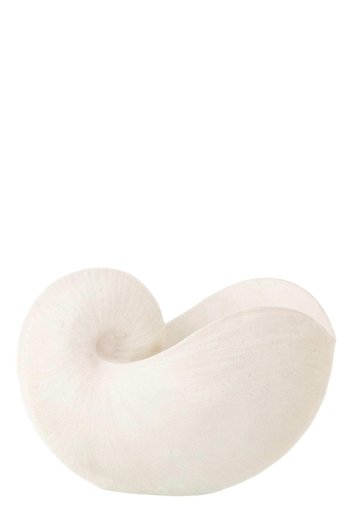 DEKO MUSCHEL Weiß - Weiß, Glas/Naturmaterialien (16.5/21.5/31cm) - J-Line