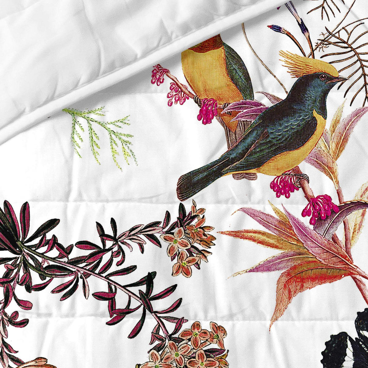 TAGESDECKE birds of paradise 240x260 cm (bett 135/140/150) mehrfarbig - Multicolor, Textil (240/260cm) - Happy Friday