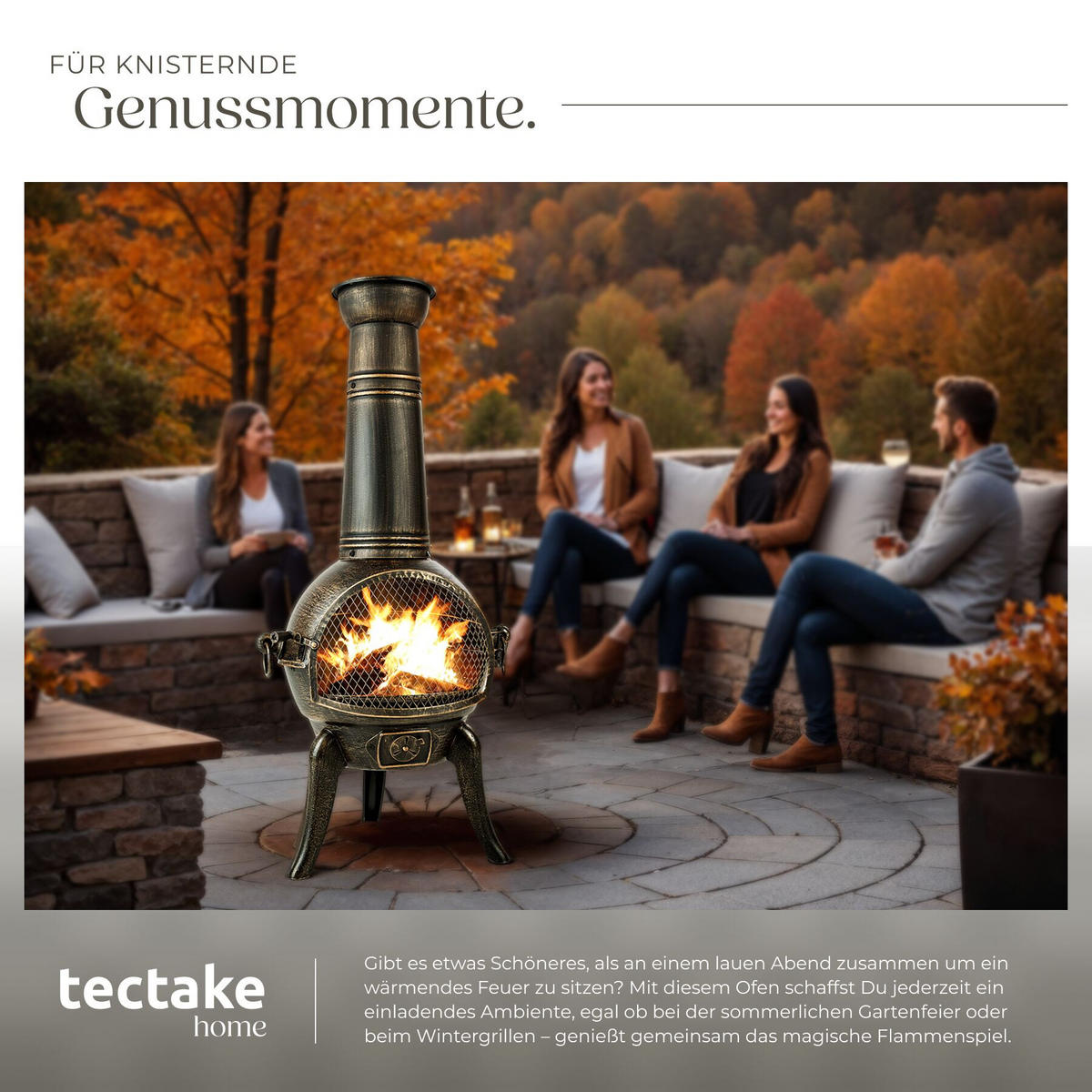 TERRASSENOFEN ,inklusive Schürhaken,grau - Grau, Metall (52/115/44cm) - tectake