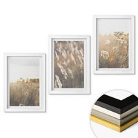 WANDBILDER 3er-Set - 20x30 cm Weißer Rahmen - Landschaftsgrasblumen Wärme - Weiß, Kunststoff (20/30cm) - ArtPrintCave