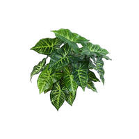 KUNSTPFLANZE Künstliche Syngonium - Kalle 45 cm - Grün, Kunststoff (45cm) - aplanta