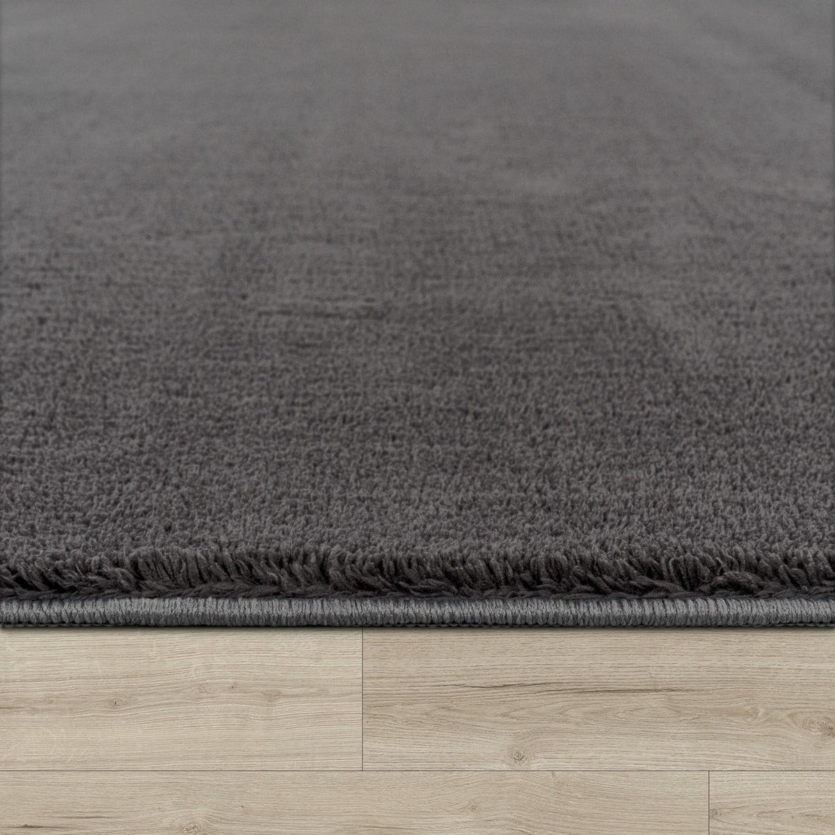 KURZFLORTEPPICH 200/200 cm Cadiz 630 - Anthrazit, Kunststoff (200/200cm) - Paco Home