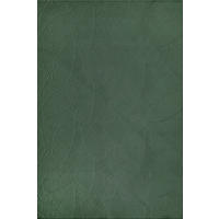 KURZFLORTEPPICH Antirutsch Abstrakt DALAR Polypropylen Waldgrün 200 x 280 cm - Grün, Textil (200/280cm) - KADIMA DESIGN