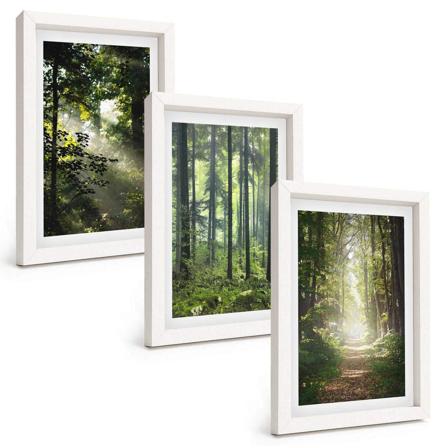 BILDER SET 3er Set - 20x30 cm Weißer Rahmen - Grüne Wälder mit Lichtstrahlen - Weiß, Kunststoff (20/30cm) - TULUP