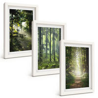 BILDER SET 3er Set - 20x30 cm Weißer Rahmen - Grüne Wälder mit Lichtstrahlen - Weiß, Kunststoff (20/30cm) - TULUP