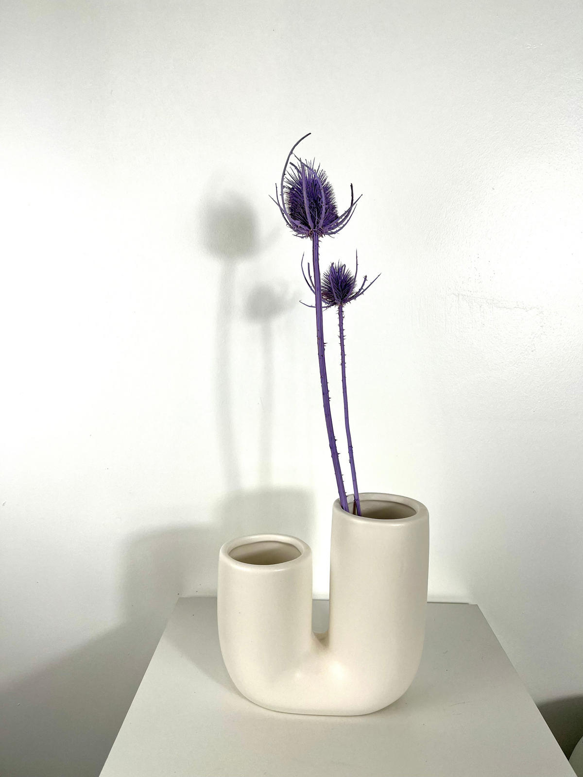 GETROCKNETE Distel - Cardi - weiß - Weiß, Naturmaterialien (60cm) - Lykke & You