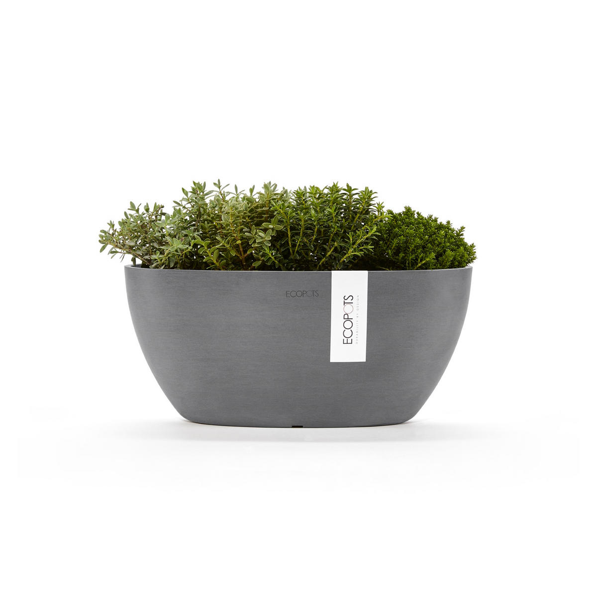 BLUMENTOPF Sofia 29,5/13,5 cm Grau - Grau, Kunststoff (29.5/13.5cm) - Ecopots